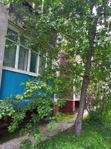 Спил дерева по ул. Окт. революции, д. 135