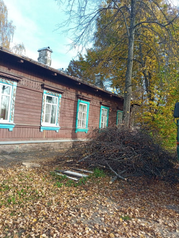 Спил аварийного дерева по ул. 10 годовщины октября, д. 30