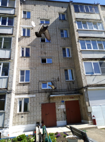 Установка окон в местах общего пользования по улице Октябрьской революции, д. 27