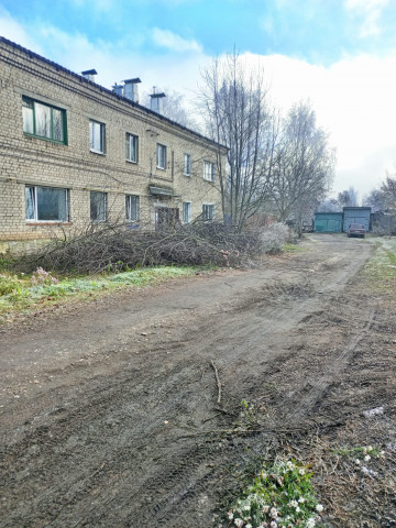 Спил деревьев у дома № 29 по улице Карла Маркса