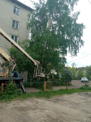 Спил дерева по улице Октябрьской революции, д. 80